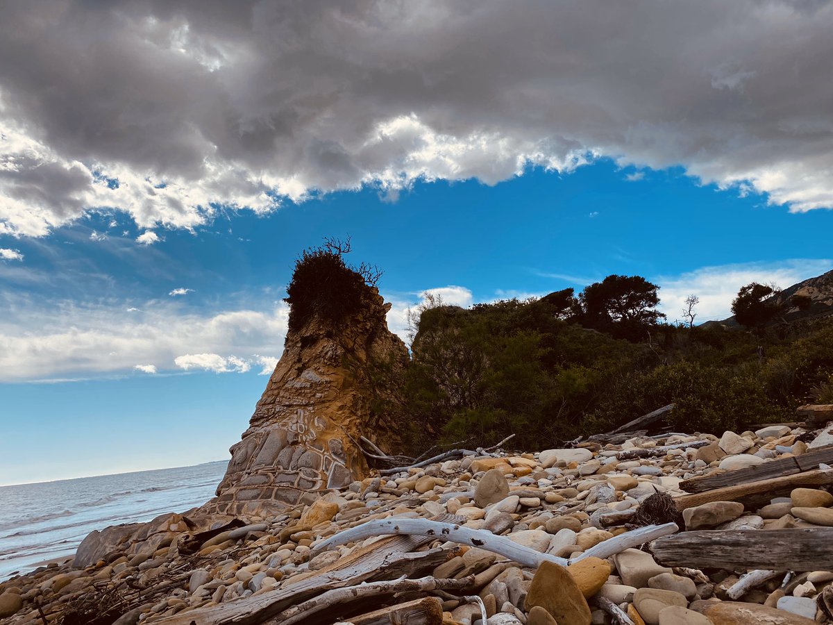 Decas68's tweet image. Viernes de sacar a pasear a la perra... a la perra Cuarentena!! 🤭  
#ViernesSanto #GaviotaBeach #emptybeach