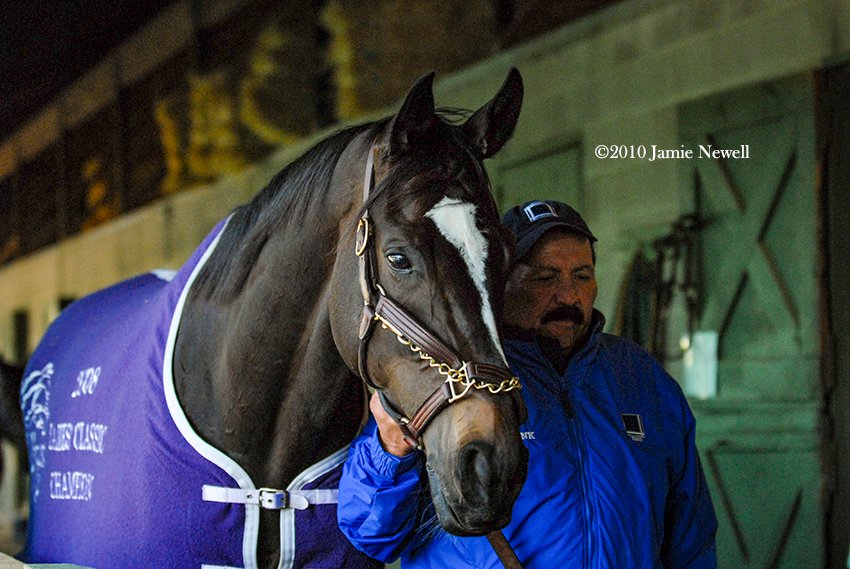 Ten years ago was one of my favorite days at the track. I spent the morning watching Zenyatta's every move prior to her 16th win in a row, the G1 Apple Blossom at  @OaklawnRacing. I took way too many photos & I'm not sorry. Here are some snapshots from that perfect morning.