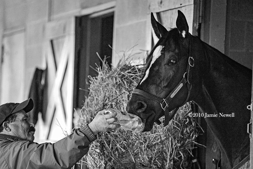 Barn foreman Frank Leal hand-watered Zenyatta with a bottle of Fiji. Only the world& #39;s best water for racing royalty!