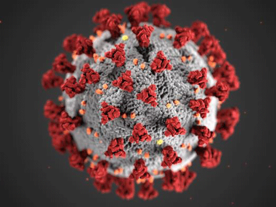 HIVGov's tweet photo. Find a list of resources from federal agencies on #HIV and #COVID19 with information for people with HIV and the providers and service organizations that support them: https://t.co/zSwttXx9x9 @CDCgov @HRSAgov @NIH @HHSGov https://t.co/yNvHw8aEjF