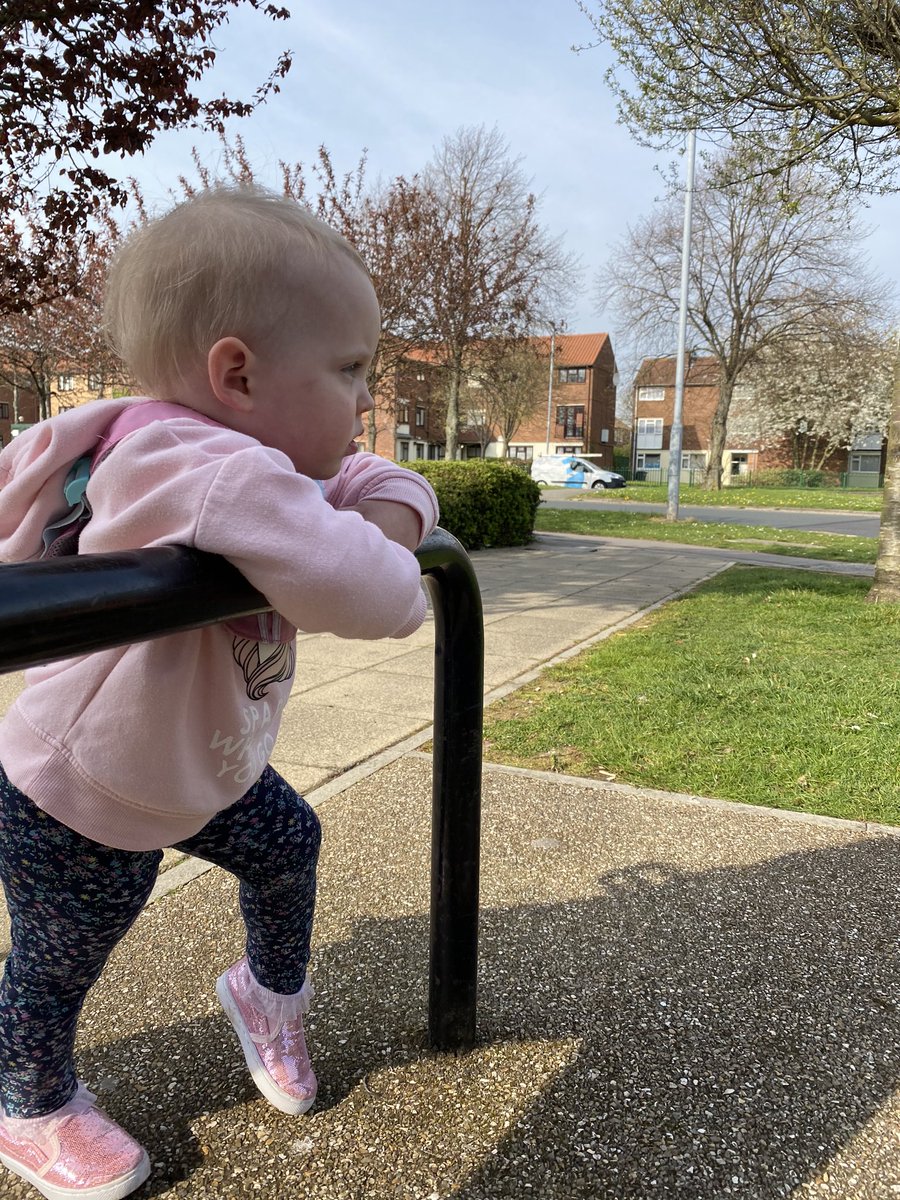 AshKemp1234's tweet photo. Contemplating life during our 1 walk of the day. https://t.co/kJ5iJnwdQo