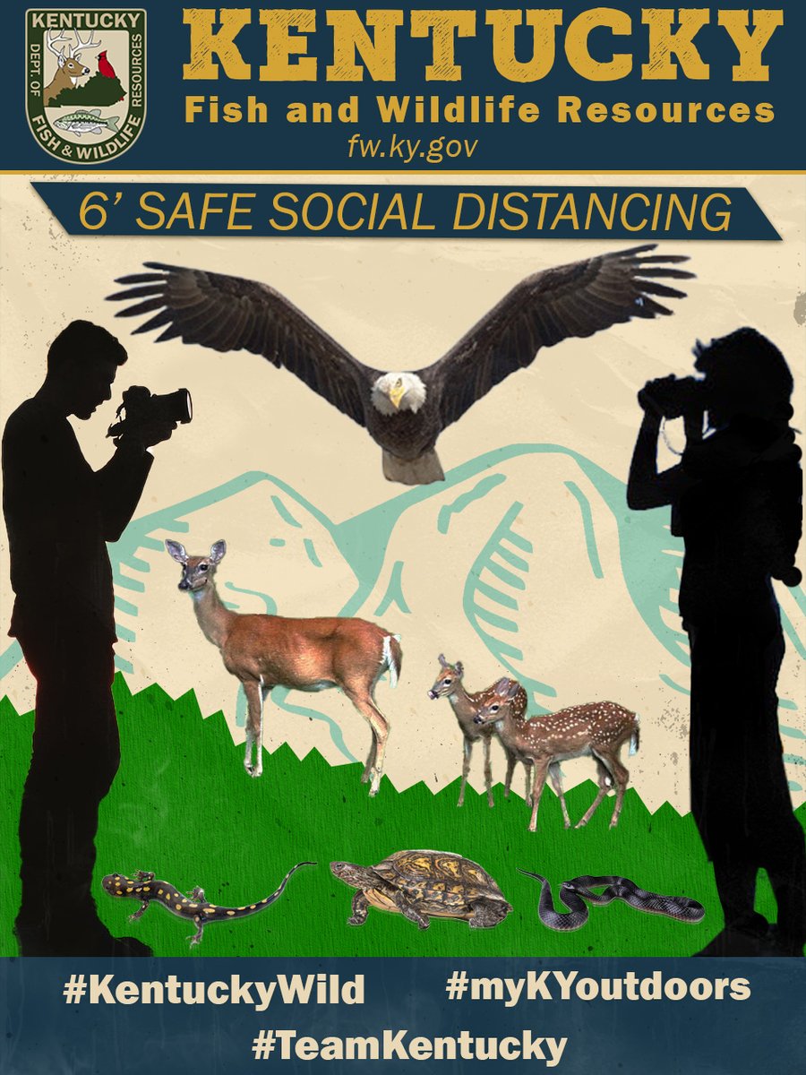 kyfishwildlife's tweet photo. Get out this weekend and have fun watching wildlife while social distancing! #myKYoutdoors #KeepKYWild #TeamKentucky https://t.co/oZxfBZEWRg
