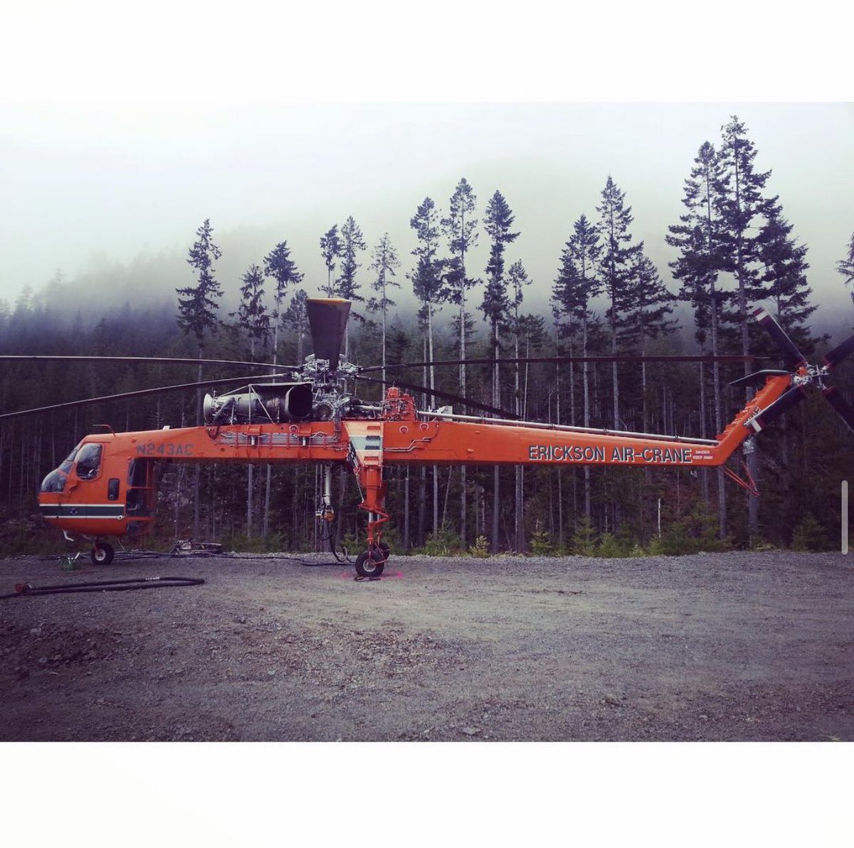 ForestryBC's tweet photo. Today feels like a day for heli logging pics. Let’s start with the Erickson S-64 Air Crane #erickson #ericksonaircrane #aircrane #logging #helilogging #forestry #forest #forestryfeedsmyfamily #logging #falling #westcoastfalling #westcoast #bcforestry #bcforest #bc #bcpoli https://t.co/50MnQJYTQS