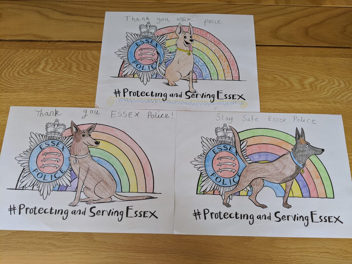 Clocking off as duty officer... A massive thank you to the public of Essex who remained inside today.  Our officers on patrol reported very few people out and about. 👍 Loved coming home to my girls <a href="/PBaloo/">PDBaloo</a> pictures! <a href="/EssexPoliceUK/">Essex Police</a> #ProtectingandServingEssex #StayHomeSaveLives