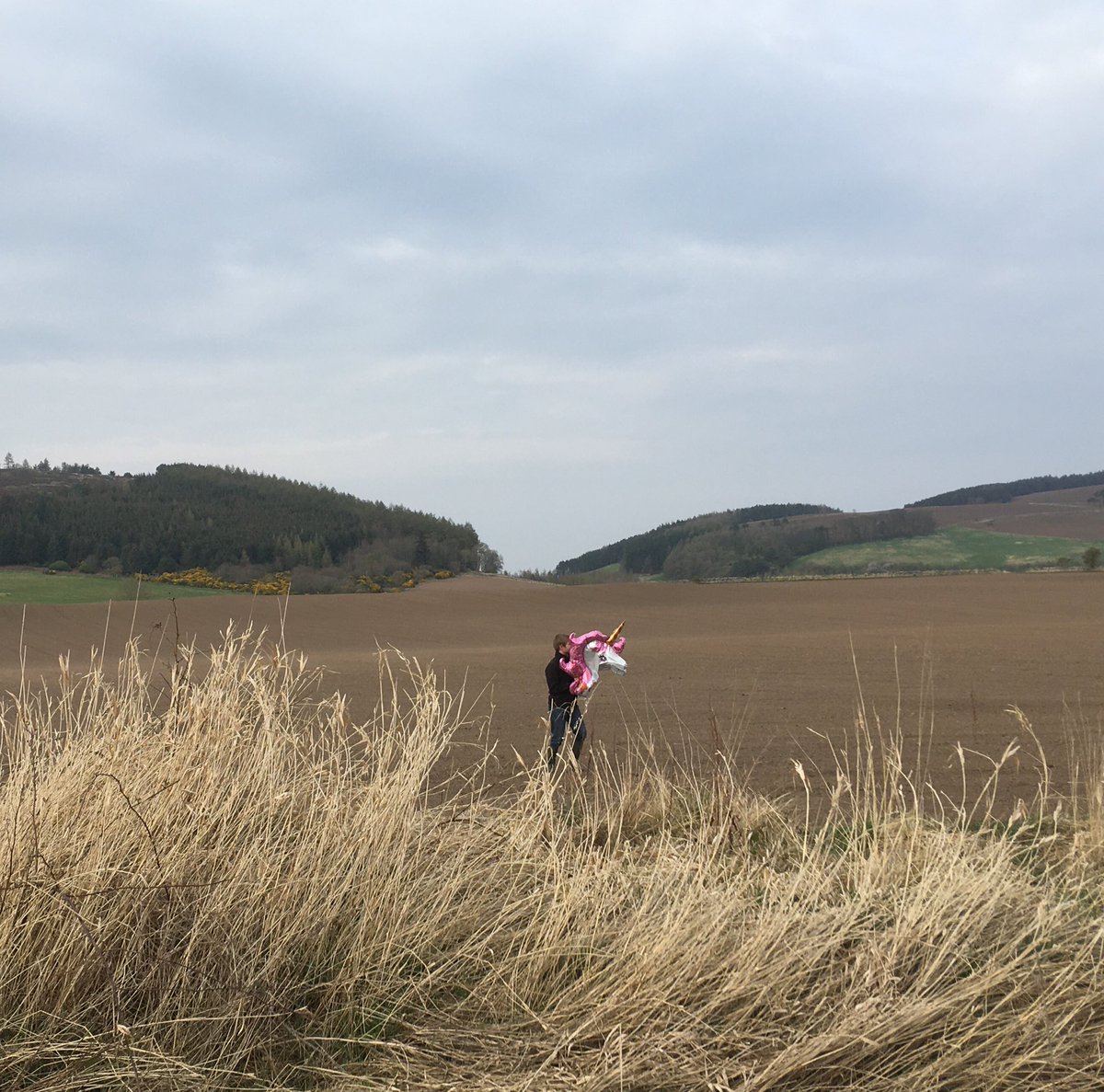 SmallholdersUK's tweet photo. Went for a Good Friday walk. Saw a helium balloon bobbing across the field and my son headed off to catch it. #BalloonsKill #litter https://t.co/IyfTm0Hdi8