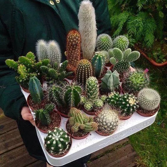 🦇🩸MariaKuix🩸🦇 tweet media