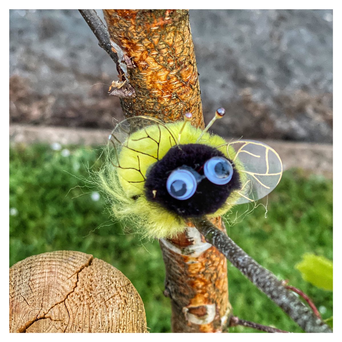 exploringexeter's tweet image. Found a different kind of bee on our sunset run tonight. The boy &amp;amp; I are doing couch to 5k. I’ve got to go something to prevent coming out the end of this 5 stone heavier &amp;amp; a raging alcoholic 😂😂

We are really enjoying the time we get together. 

#behappy #c25k #exploringexeter