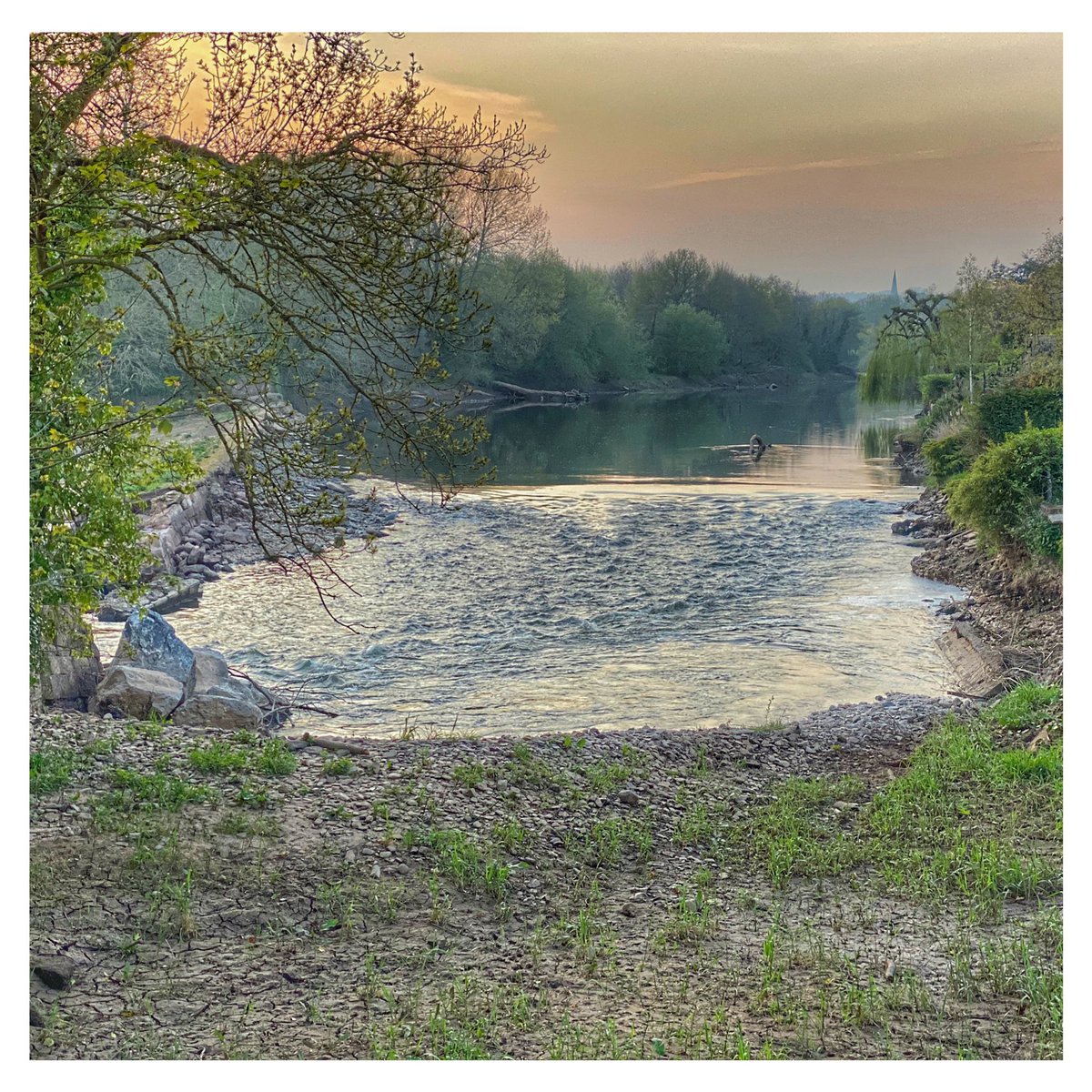 exploringexeter's tweet image. Found a different kind of bee on our sunset run tonight. The boy &amp;amp; I are doing couch to 5k. I’ve got to go something to prevent coming out the end of this 5 stone heavier &amp;amp; a raging alcoholic 😂😂

We are really enjoying the time we get together. 

#behappy #c25k #exploringexeter