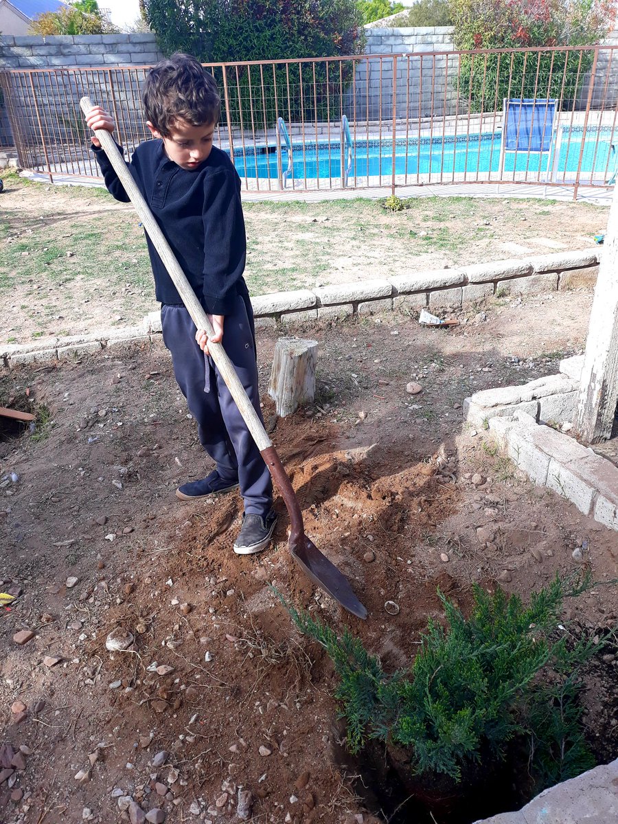 joevandermeer's tweet photo. Putting in the work .. Gardening montage #QuarantineLife https://t.co/pOrUmCsuWv