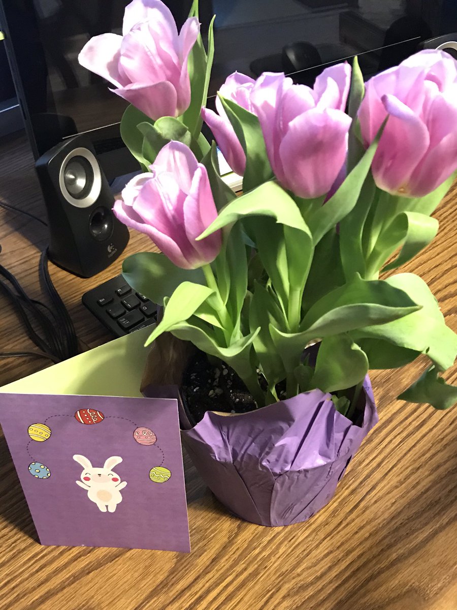 HamppSherry's tweet photo. It was really nice seeing all of my students today while delivering them a special Easter treat!🐰🐣 https://t.co/DTmvLvag45