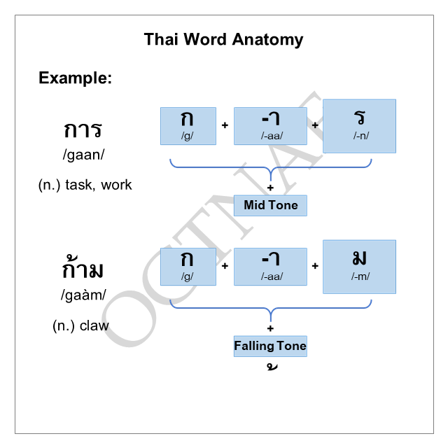 And here is basic anatomy of a Thai word, which consists of an initial consonant, a vowel, a final consonant, and tone. I give you few sample words to see their structure.There are 5 tones in Thai language, you can learn more about it here: 