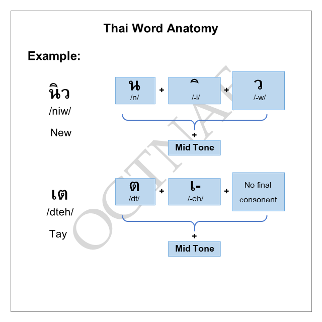 And here is basic anatomy of a Thai word, which consists of an initial consonant, a vowel, a final consonant, and tone. I give you few sample words to see their structure.There are 5 tones in Thai language, you can learn more about it here: 