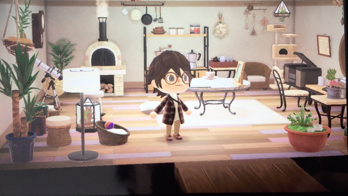 I bought 0% of this, this is all from my friends ｡ﾟ(ﾟ´ω`ﾟ)ﾟ｡