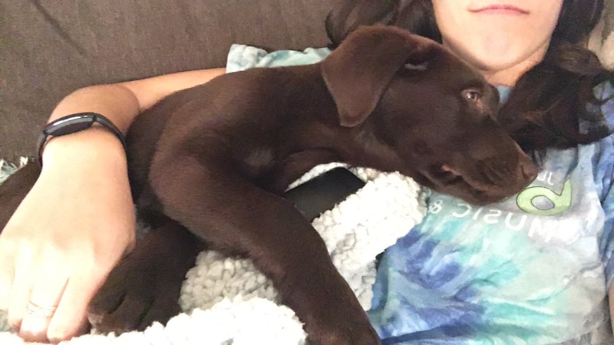 alli_brownn's tweet photo. @kkcooperie It’s a big investment of time and many restless nights, but oh so worth it! 💛 https://t.co/E6lKdopDts