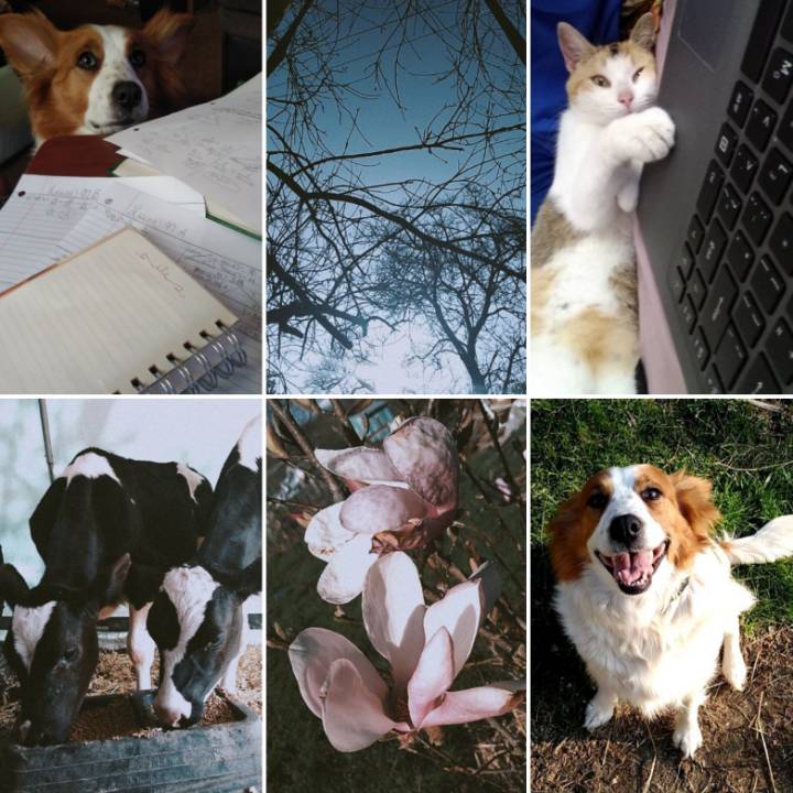 BellaireYEP's tweet photo. Hi guys, it's Cassidy. During my quarantine I have been working with my calves, receiving some extra class help, and taking pictures.

I want to remind you that people are here and care about you. 

Stay safe and healthy.❤️

#youthempoweringsocialdistancing https://t.co/VP1rB0OjTz