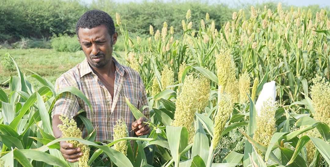 صور من السودان