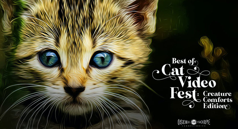 Happy Frrrrrrrriday, everyone!🐈
We're now streaming the #CreatureComforts edition of <a href="/CatVideoFest/">ᑕᗩT ᐯiᗪE0 ᖴEᏕT 😺</a>. It's the purrrrrrrfect way to brighten your day for as little as 99¢! countytheater.org/films/cat-vide…
#meow