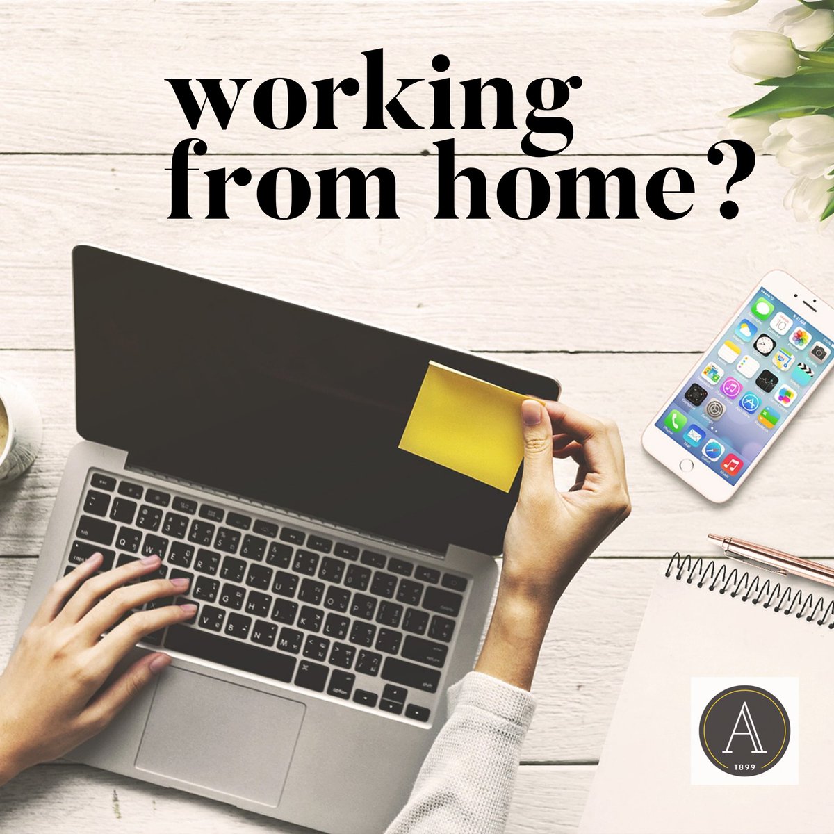 Avery Insurance tweet media