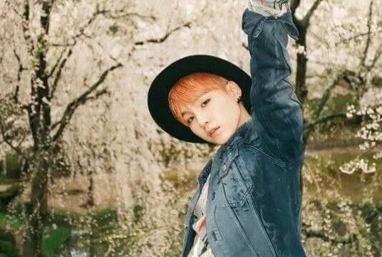 some hyyh photos since they are the definition of art: a thread