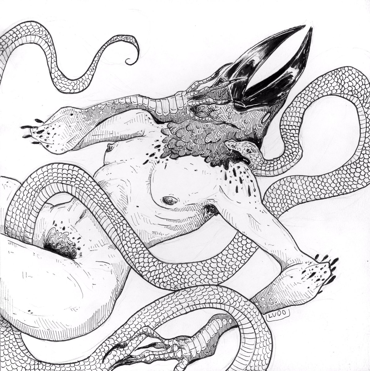 theesnakebitch's tweet photo. 🐍 https://t.co/D6S92dBHtf