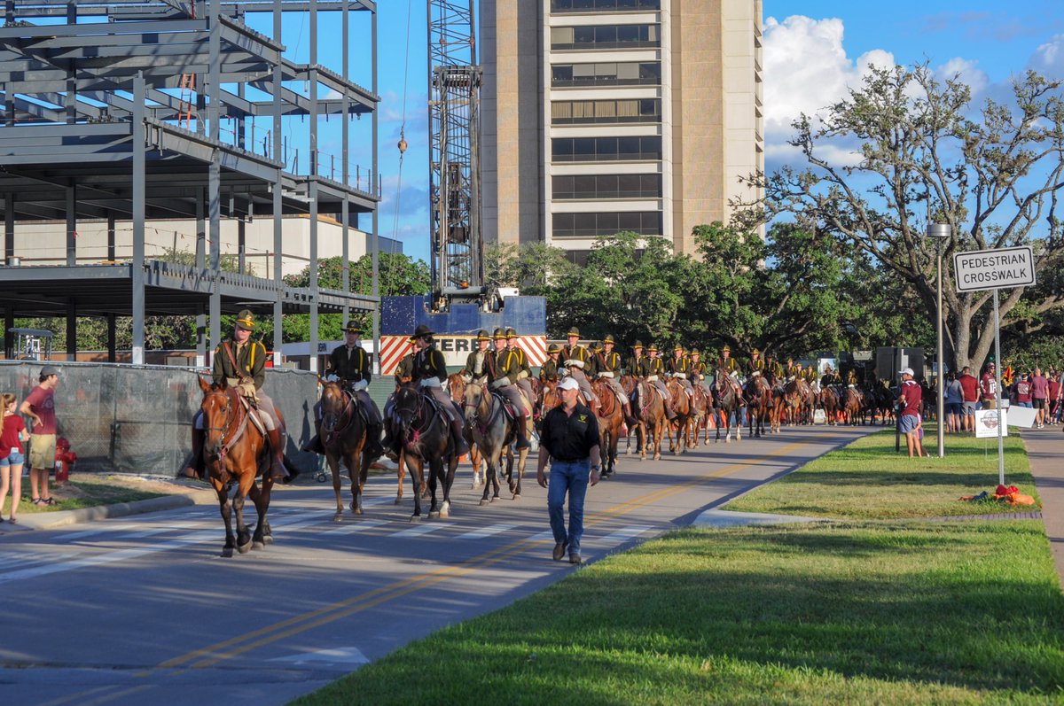 For that Thursday game in 2018, I got to the Drill Field for  @AMCPMC (there'll be more photos of the Parsons Mounted Cavalry, later)