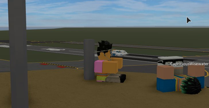 CanadianAviatorRBLX tweet media