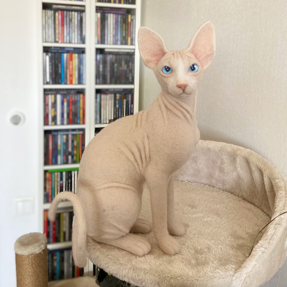 sphynx cat doll