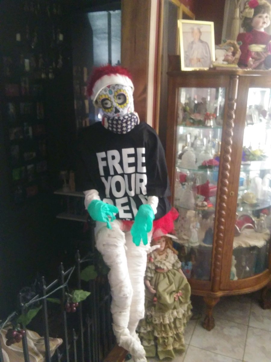 CatMasonBooks's tweet photo. Sent from my crazy silly mother. Meet Mona. She’s encouraging safe and effective social distancing when she has to be out. @johnkrasinski https://t.co/i2ujs0loyV