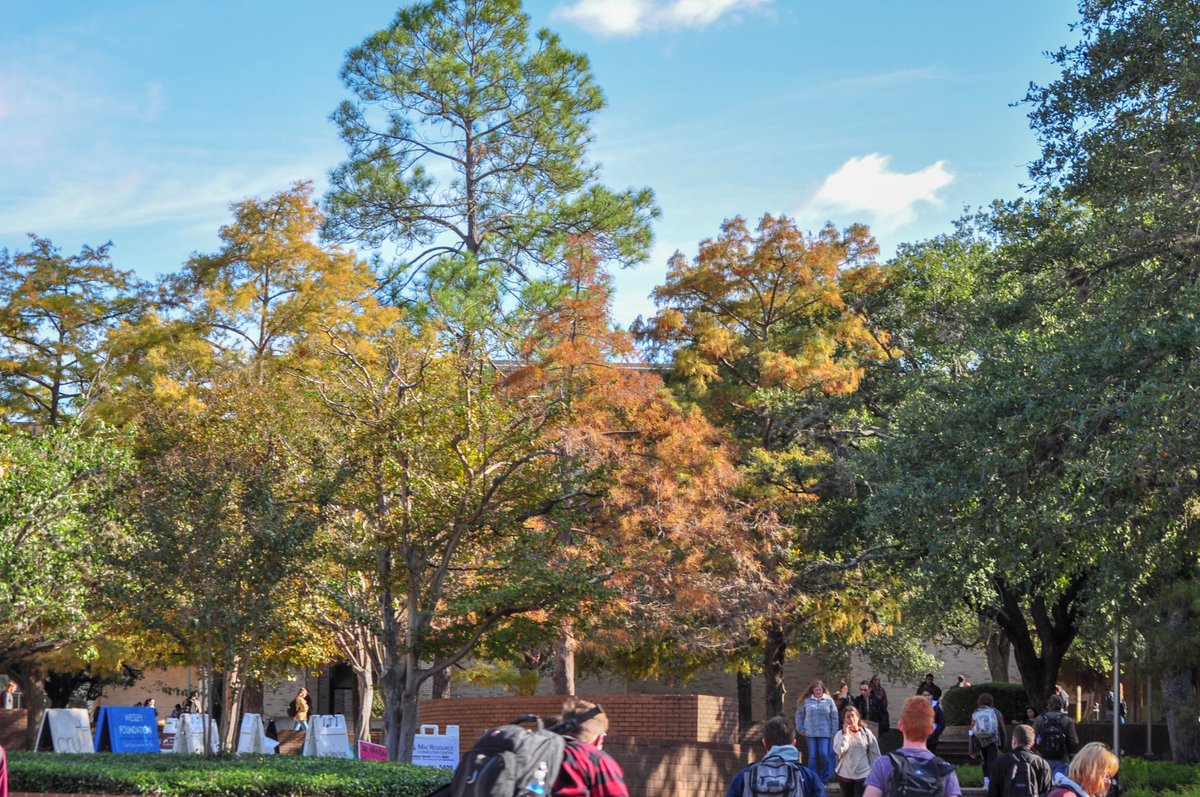 When the F-35s came into town, I carried my camera around the whole day. But at least I got these nice fall day photos of campus before they showed up.