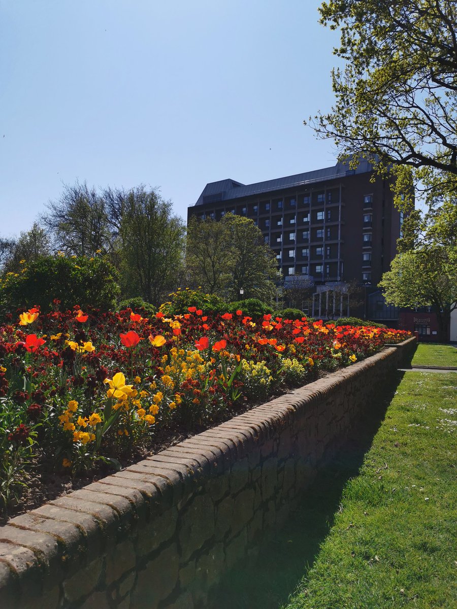 Beauty can still shine through tough times, what gorgeous sunshine we had today #COVIDー19 #StayHomeSaveLifes <a href="/WardJgh/">Sorel Ward JGH</a> 😁😍☀️🌈💕🌞