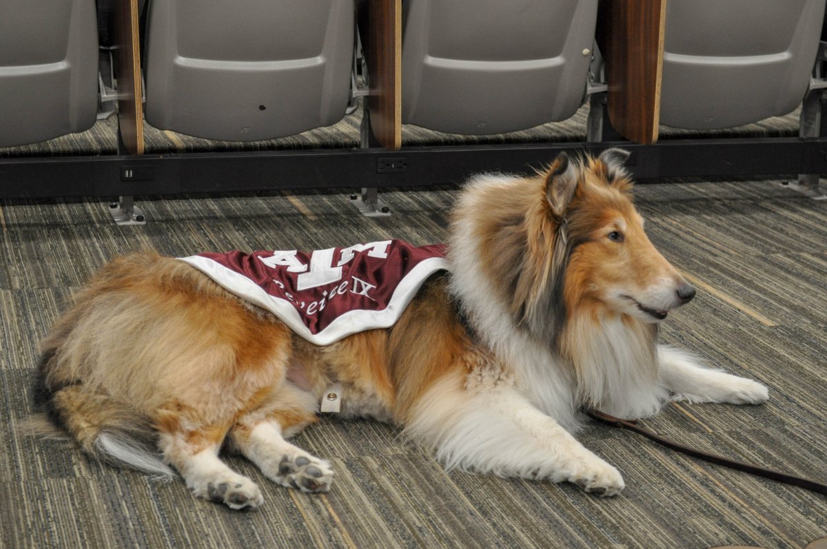 I met  @reveille for the first time thanks to the Photoclub. Will have better photos soon