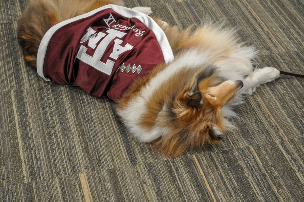 I met  @reveille for the first time thanks to the Photoclub. Will have better photos soon