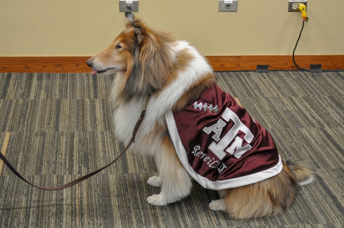 I met  @reveille for the first time thanks to the Photoclub. Will have better photos soon