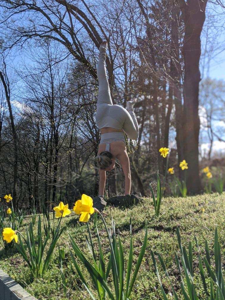 _Drishdia_'s tweet photo. Made the most of yesterday’s sunshine 🌼
.
.
.
#handstand #staghandstand #handstandshapes #inversions #inversionjunkie https://t.co/I7NYwPIZmN
