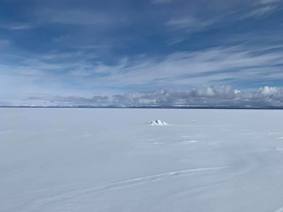 anastasia quoee tweet media