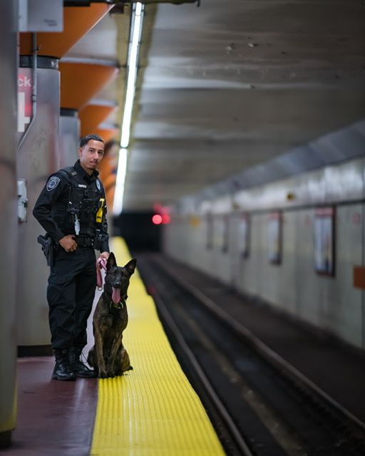 Spike's K9 Fund tweet media