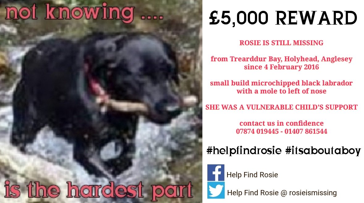 rosieismissing's tweet photo. NO QUESTIONS ASKED! PLEASE! WE NEED TO KNOW SHE'S OKAY!
#helpfindrosie #itsaboutaboy #dotherightthing #nevergiveup
Rosie's facebook - https://t.co/f2q9lO0zEl
DogLost link - https://t.co/Pd1fXQhRuS https://t.co/A3OdJbug8F