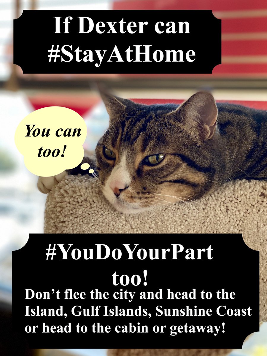 peterongilford's tweet photo. #StayPut #StayAtHome #GetExercise but #KeepApart #2metres / #6feet Don’t flee the city to invade Gulf Islands, Vancouver Island,Squamish or Sunshine Coast. Stay home Clap & bang your pots at #7pm. @bonniehenryfans @steeletalk @adriandix @BillTieleman @CKNW https://t.co/ezhOEs4WVY