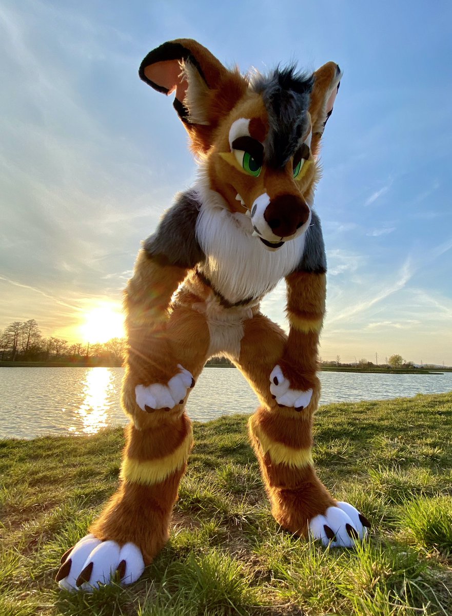 Mote 🇸🇰🐾 🇪🇺 Awoostria, Furizon, Cesfur tweet media