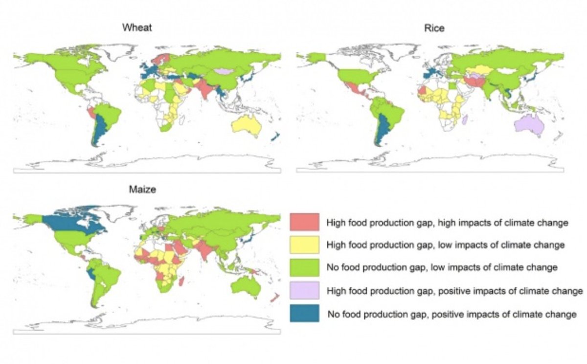 ryancphys278's tweet photo. a diagram showing the food production gap in crop yield between now and 2050 #RyansDiagrams #hesback #phys273 https://t.co/120iSUgWpr