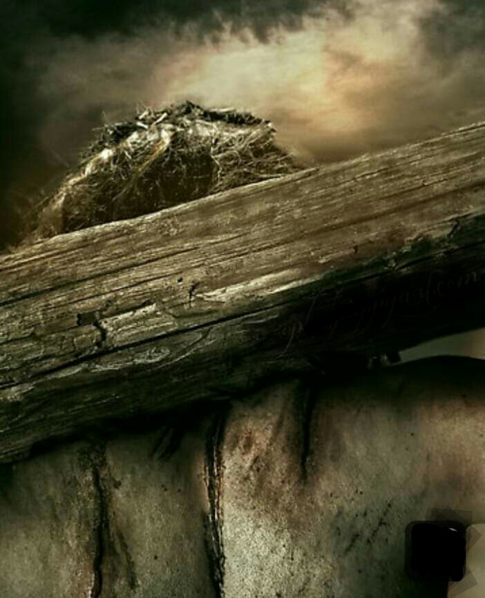 KanRodgers's tweet image. Precious Jesus,
Your amazing love reaches to the heavens,and penetrates throughout our souls.You cleanse us by your precious blood that you shed on Calvary,and your love for us is beyond highest degree,for in you, new hope springs eternal,and our trust is in you!