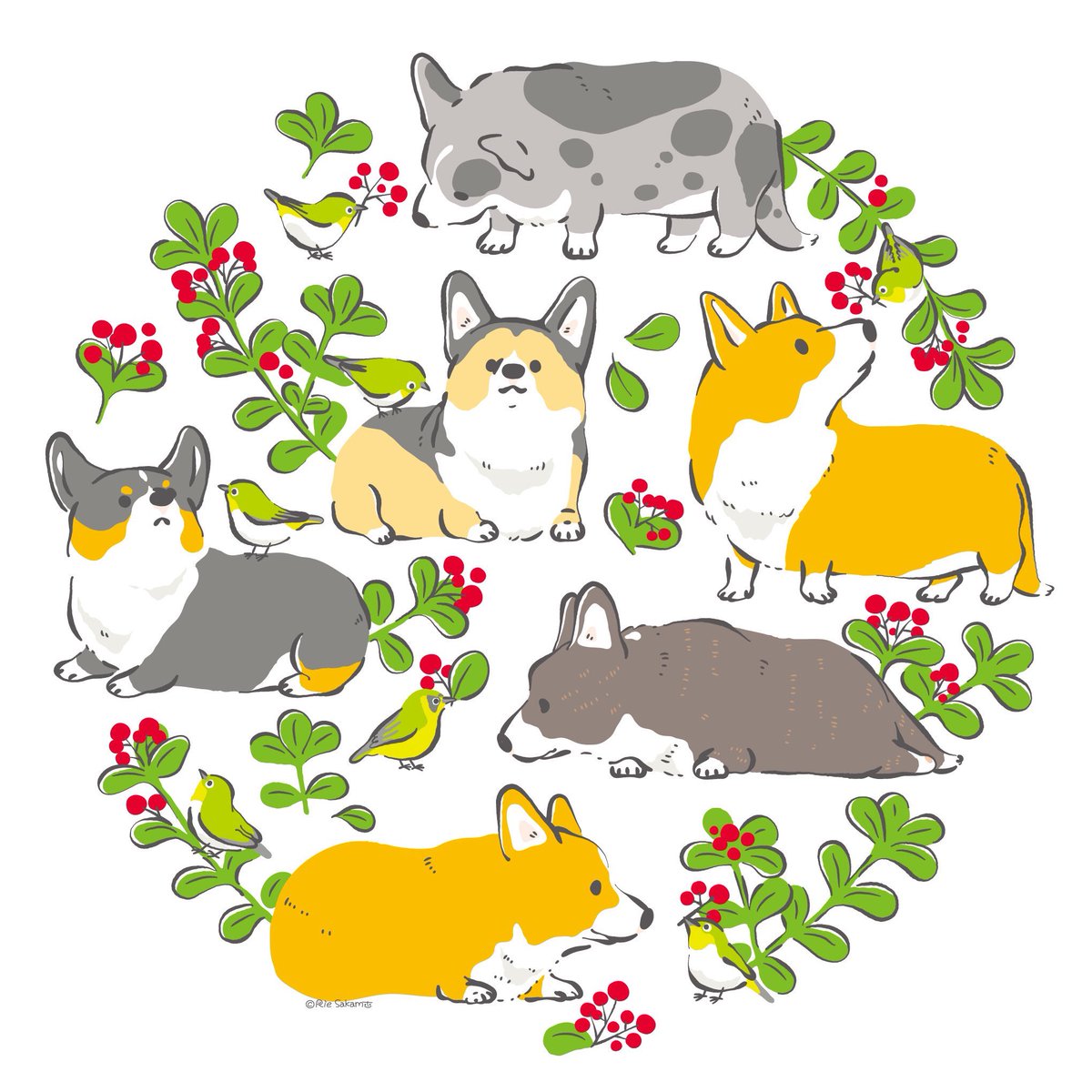 これはみごとなおしりですな もふもふさがさいこうですな 3 7 Corgi サカモトリエ イラストレーターのイラスト