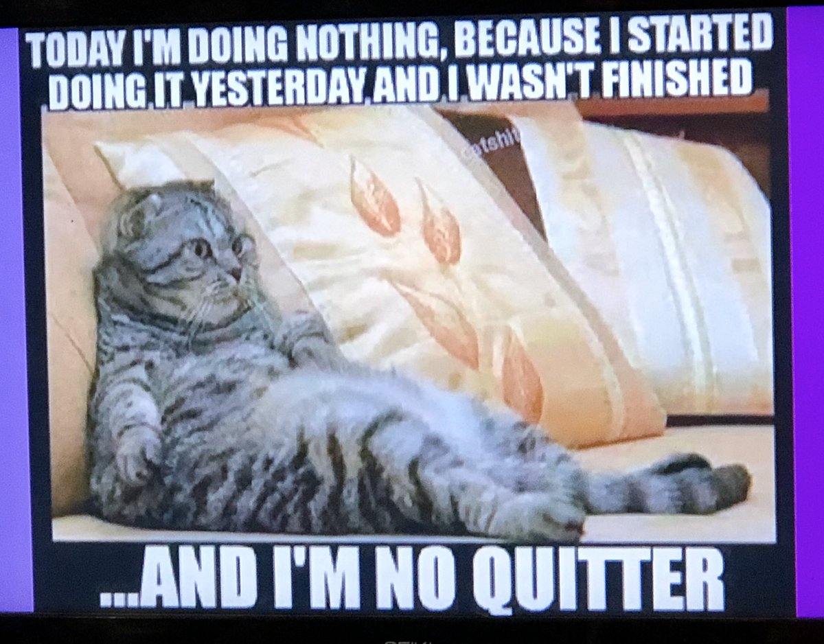 KittySquidgyHoneyBoo tweet media