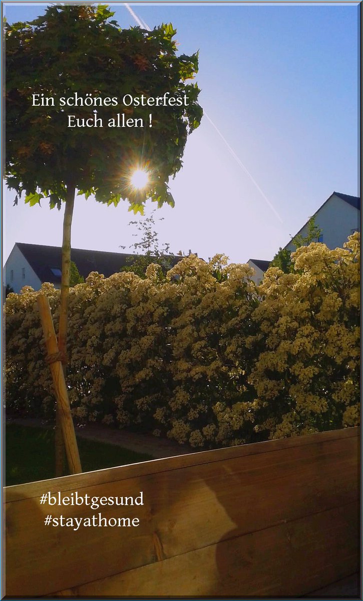 Ad Hoffmann (@AdHoffmann1) / Posts / X