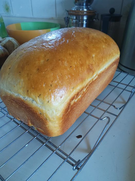 Gutfounded tweet media