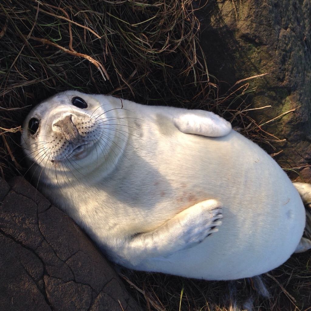 #QuarantineAndChill 🥰