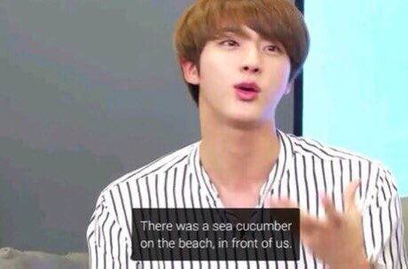 that time when jin caught a sea cucumber and bought it back to bts in a bowl