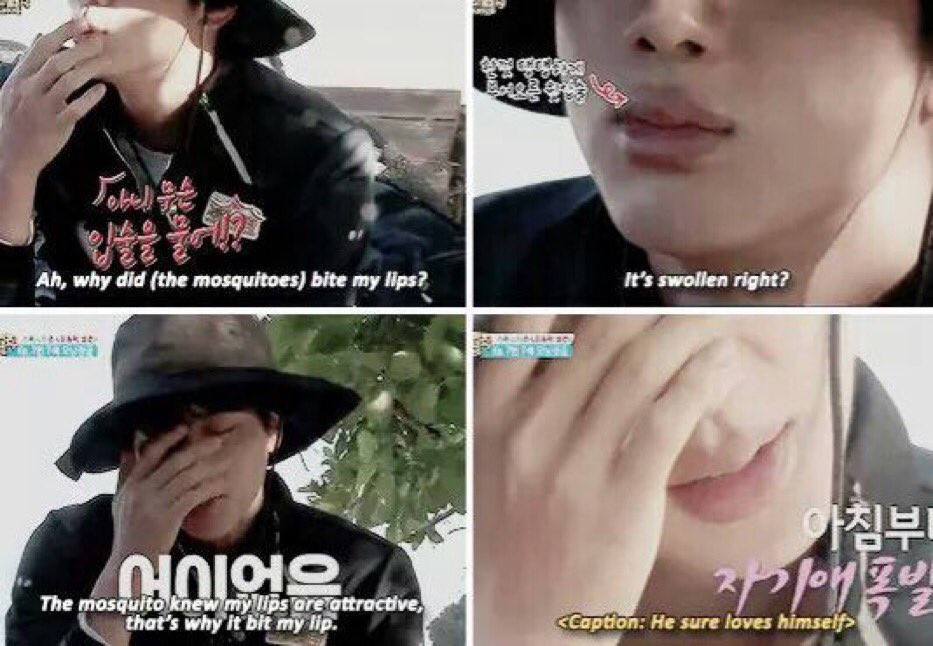 that time when jin caught a sea cucumber and bought it back to bts in a bowl