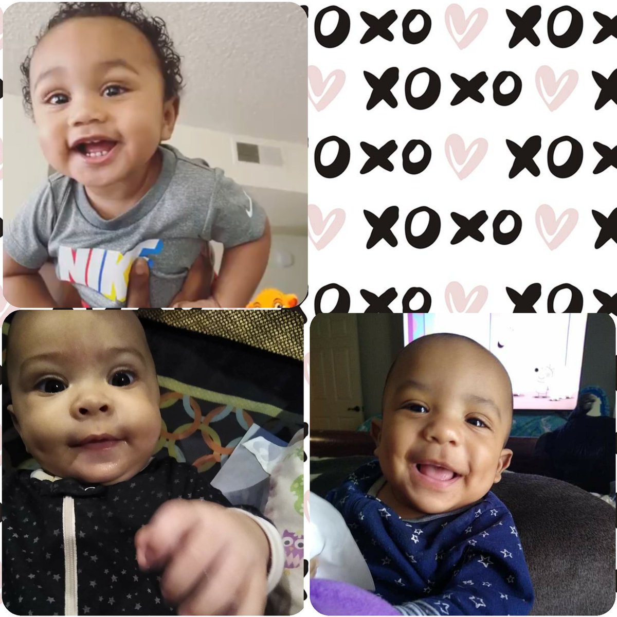 TaylorMadeChgo's tweet photo. So thankful for happy/healthy gbabies
#gigibabies
#19triplets
#movintoofast https://t.co/b459xVJiTm