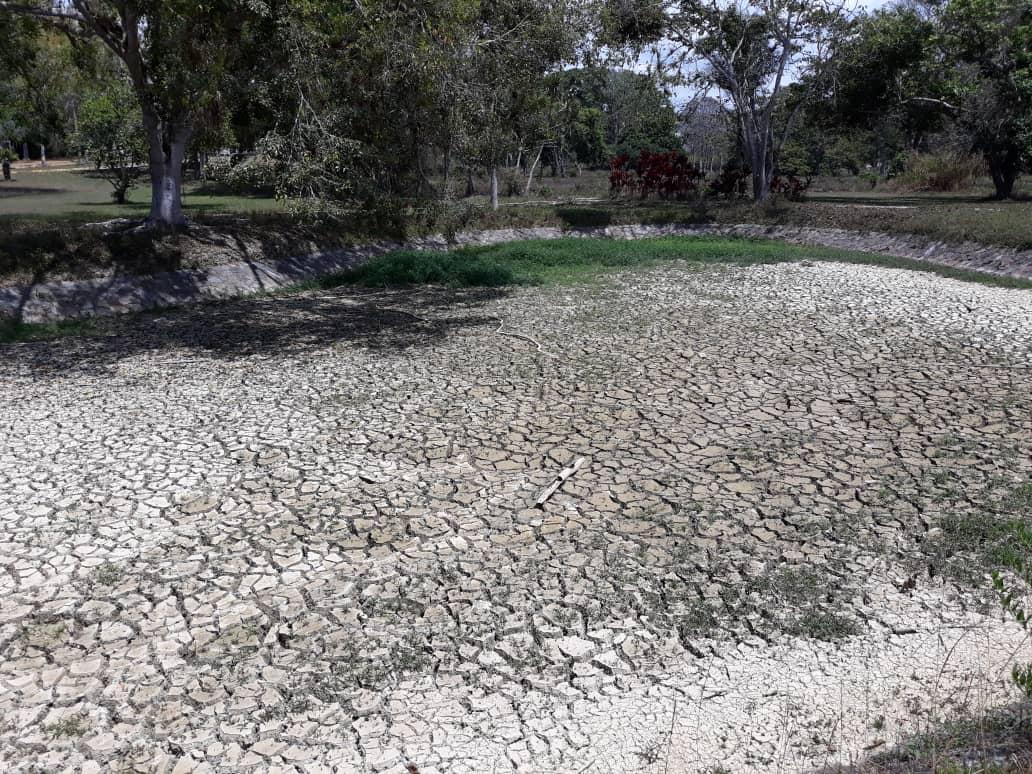 Randy 🦁🇻🇪 tweet media